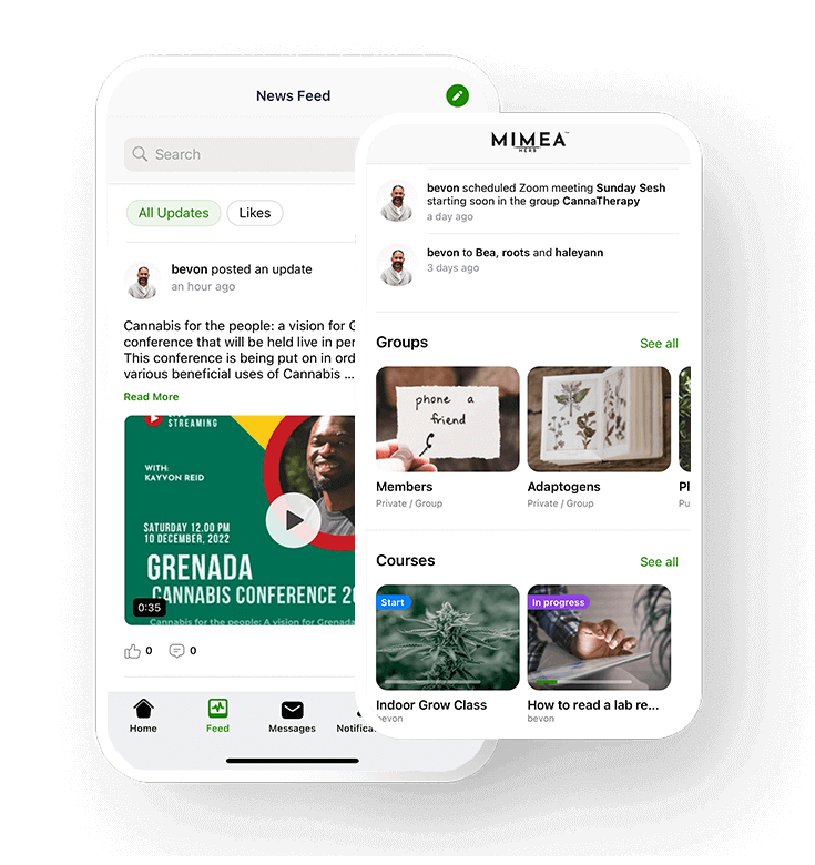 The Mimea app hero image