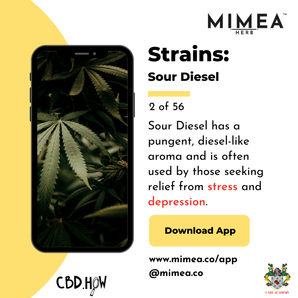 Sour Diesel Cannabis Strain