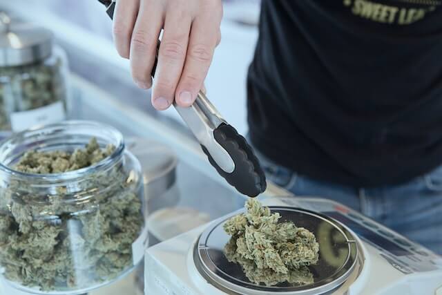 How to Use Your Skills to Get a Job in the Cannabis Industry